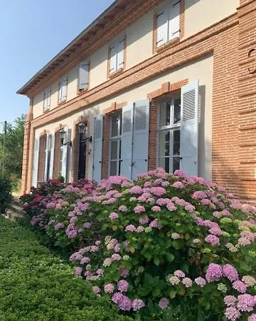 Anda- Piscine- Montauban - Holiday home Lacourt-Saint-Pierre